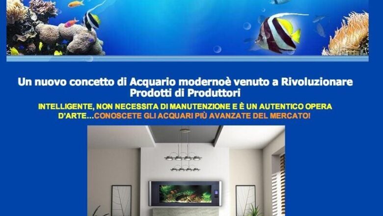 Acquari Moderni