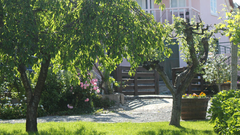Casa Castedo do Douro – Casa de Férias