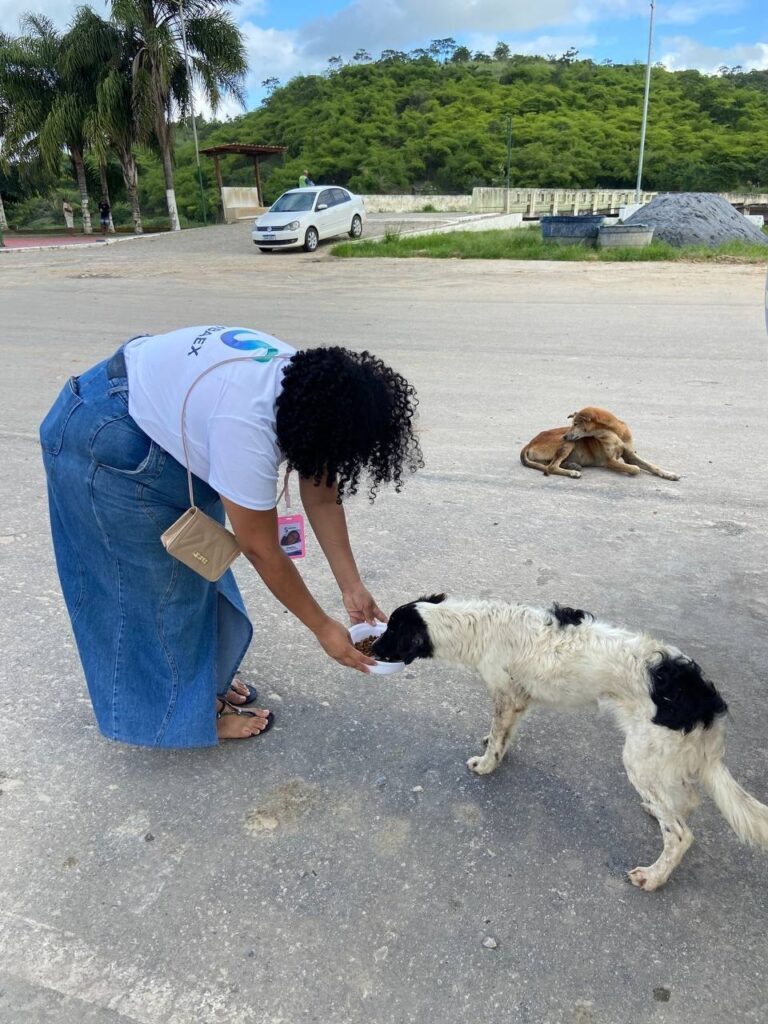 Sambaex lança iniciativa de proteção animal e reforça compromisso com causas sociais em Noticias Sambaex lança iniciativa de proteção animal e reforça compromisso com causas sociais